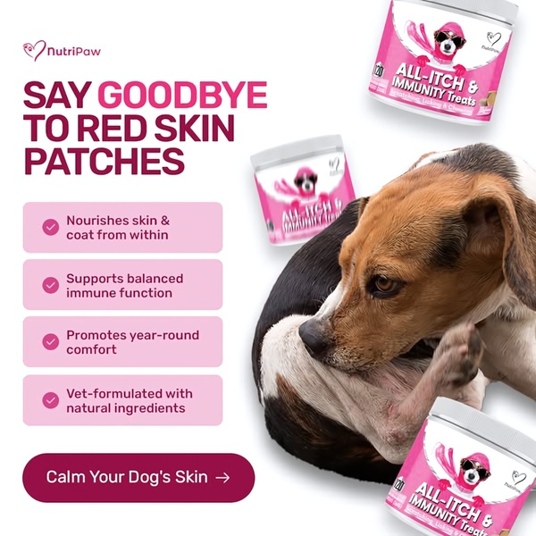A clean, benefits-focused ad for dog treats that addresses common skin issues with clear, bulleted health benefits and a direct call to action.